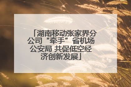 湖南移动张家界分公司“牵手”省机场公安局 共促低空经济创新发展